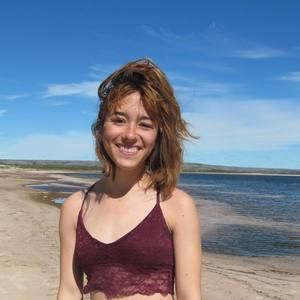 Meet your Posher, Gray